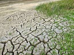 Climate Change